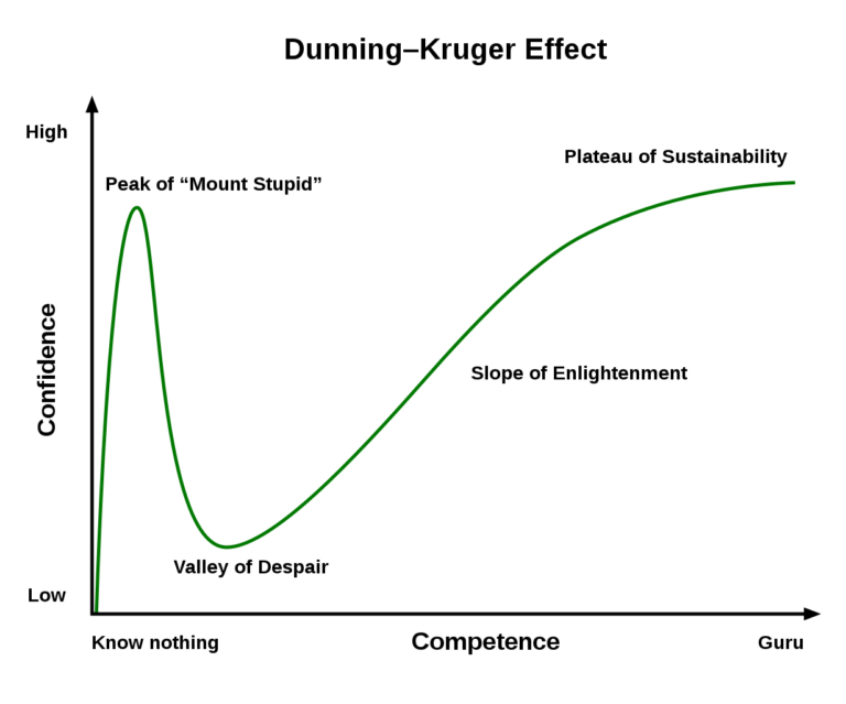 Dunning Kruger Diagramm